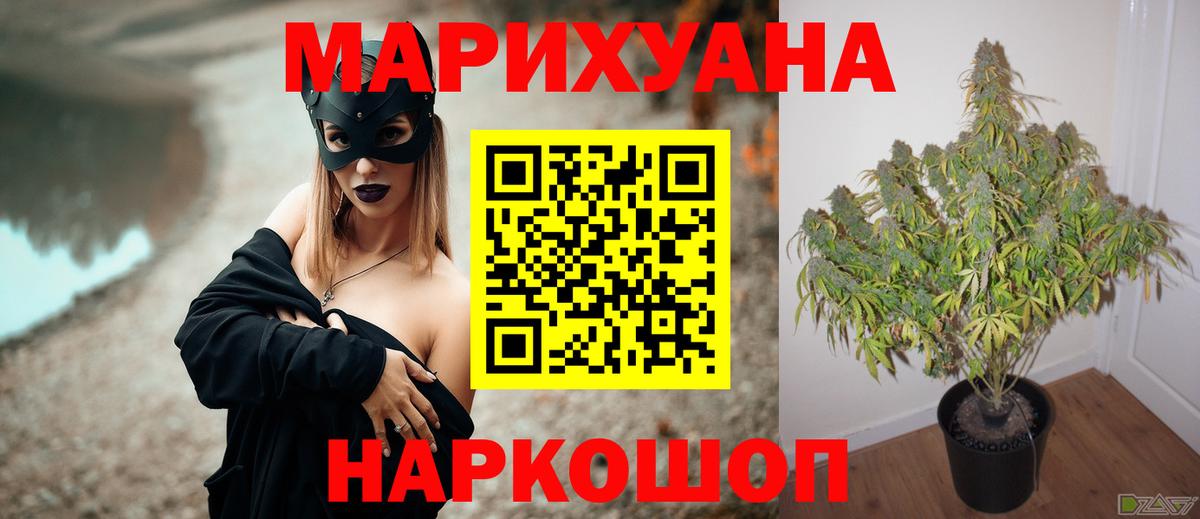Бошки Шишки LSD WEED  Шишки марихуана SATIVA & INDICA  Новокубанск  Вход с VPN  Шишки марихуана сатива  МАРИХУАНА конопля 